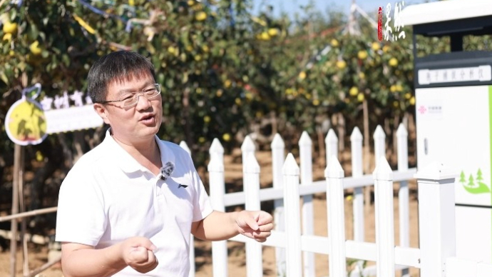 果然视频|数字化设备上阵，莱阳古梨树群有了“健康管家”