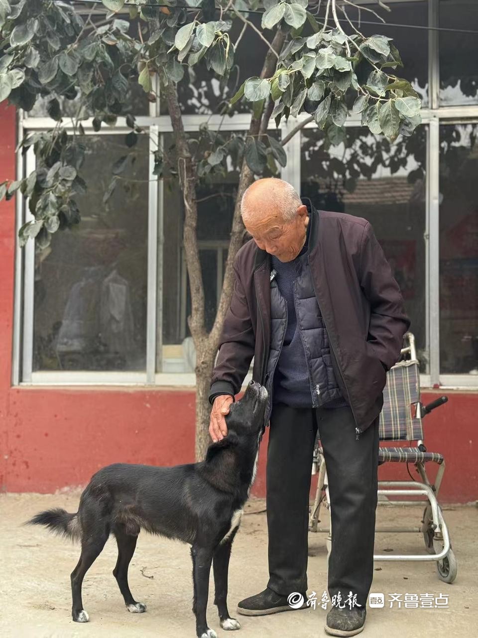 重阳节|104岁的朱连三：4年前我还骑车赶集呢