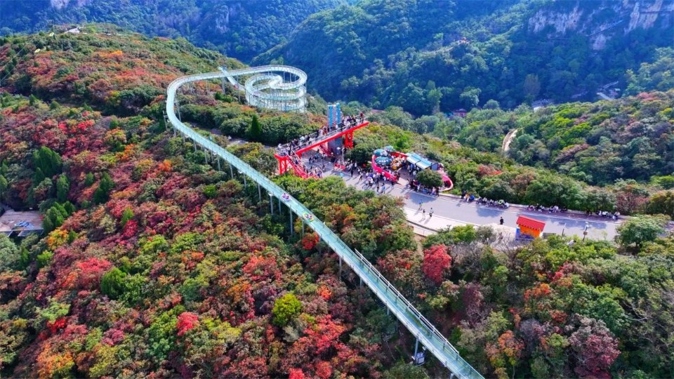 壹点图集｜秋色斑斓 国风古韵，红叶柿岩第四届红叶季启动