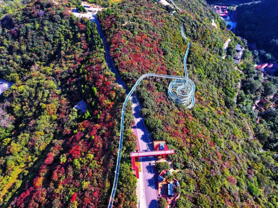 壹点图集｜秋色斑斓 国风古韵，红叶柿岩第四届红叶季启动