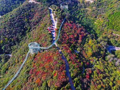 壹点图集｜秋色斑斓 国风古韵，红叶柿岩第四届红叶季启动
