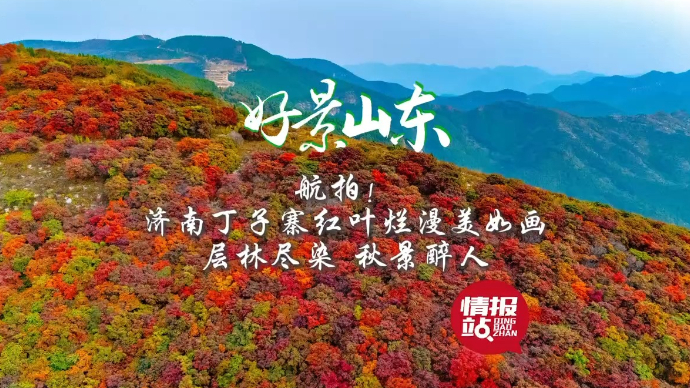 果然视频·好景山东|济南丁子寨红叶烂漫，层林尽染秋景醉人！