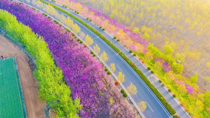 果然视频|在青岛莱马赛道，跑一场秋天童话世界里的马拉松