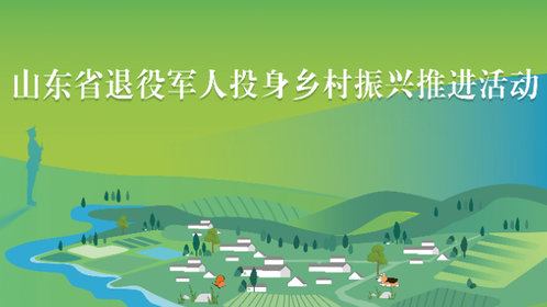 山东省退役军人投身乡村振兴推进活动明日启幕!