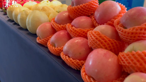 果然视频丨山东省退役军人投身乡村振兴推进活动开幕