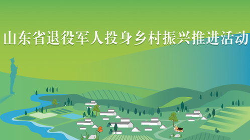 今日开幕!山东省退役军人投身乡村振兴推进活动成功举办