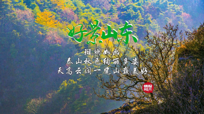 果然视频·好景山东|泰山秋色绚丽多姿，斑斓如画一览山巅美好