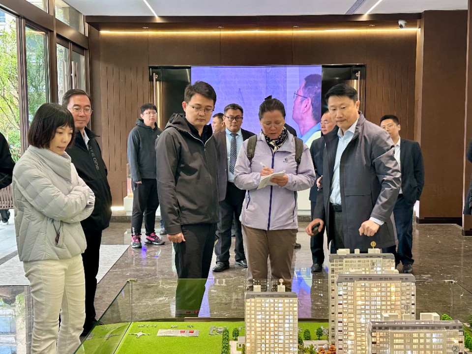 壹点图集｜省高品质住宅专家现场指导，助力淄博打造“好房子”