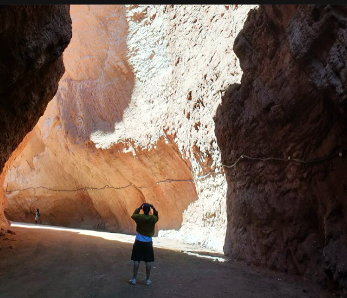 穿越柴达木盆地和塔里木盆地，自驾开启“醉”美西北漫游，第一视角触摸自然生态与历史质感。一路欣赏多彩民族风情，品尽各色美食，感受丝绸之路重镇璀璨厚重的历史文化。
（大众新闻·齐鲁壹点记者 蓝峰）