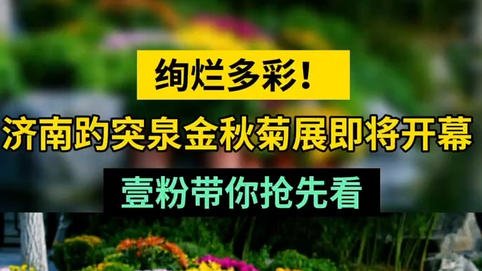 情报站|绚烂多彩！济南趵突泉金秋菊展即将开幕，壹粉带你抢先看