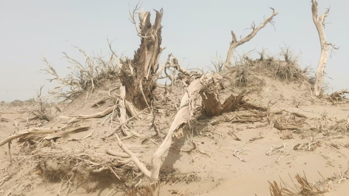 从若羌到库尔勒，体验风沙袭来的震撼