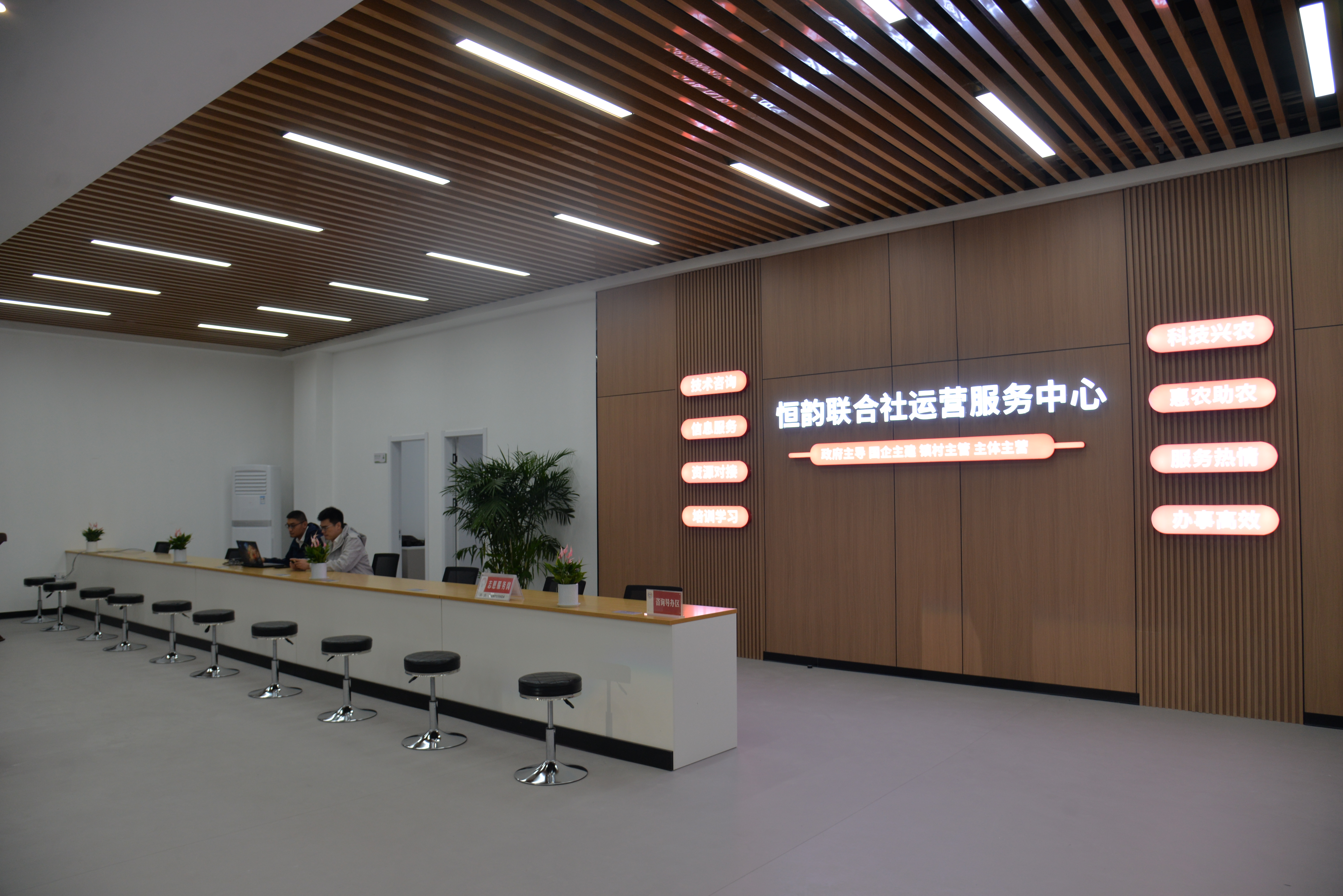 “双融双增”蹚富路！临沂兰山区共富联合社助力乡村振兴