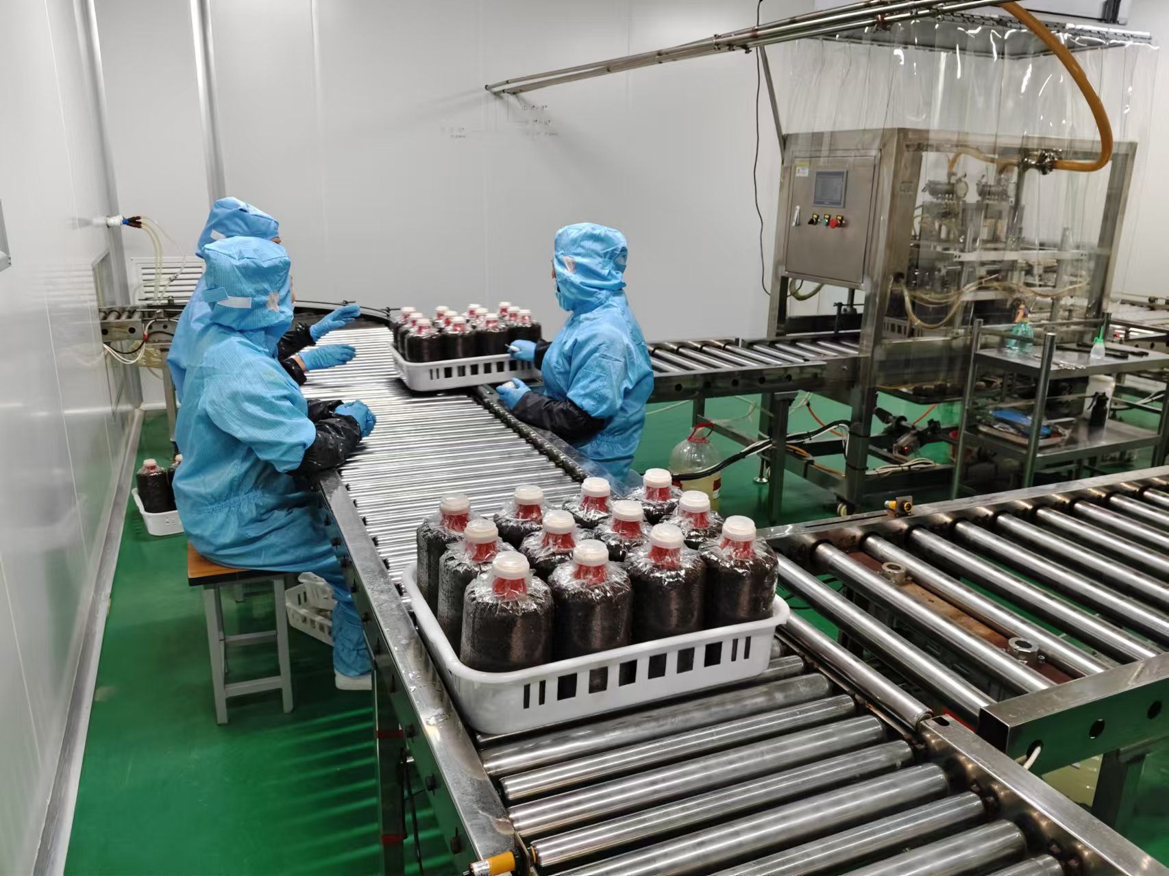 乡村振兴·沂蒙好例丨临沭县白羽鸡产业集群产值突破100亿元