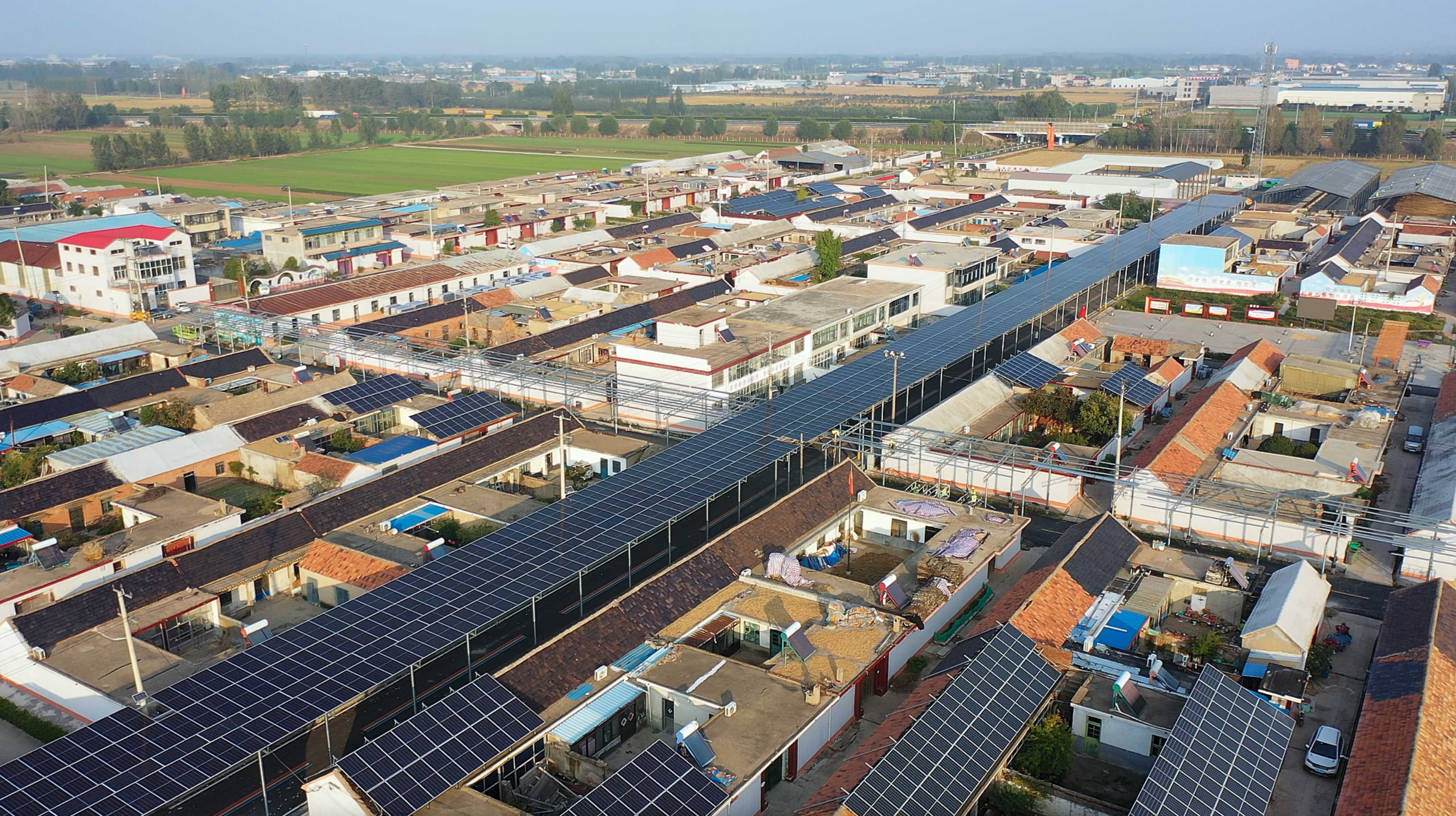 乡村振兴·沂蒙好例丨订单农业！河东区打造现代都市农业先行区