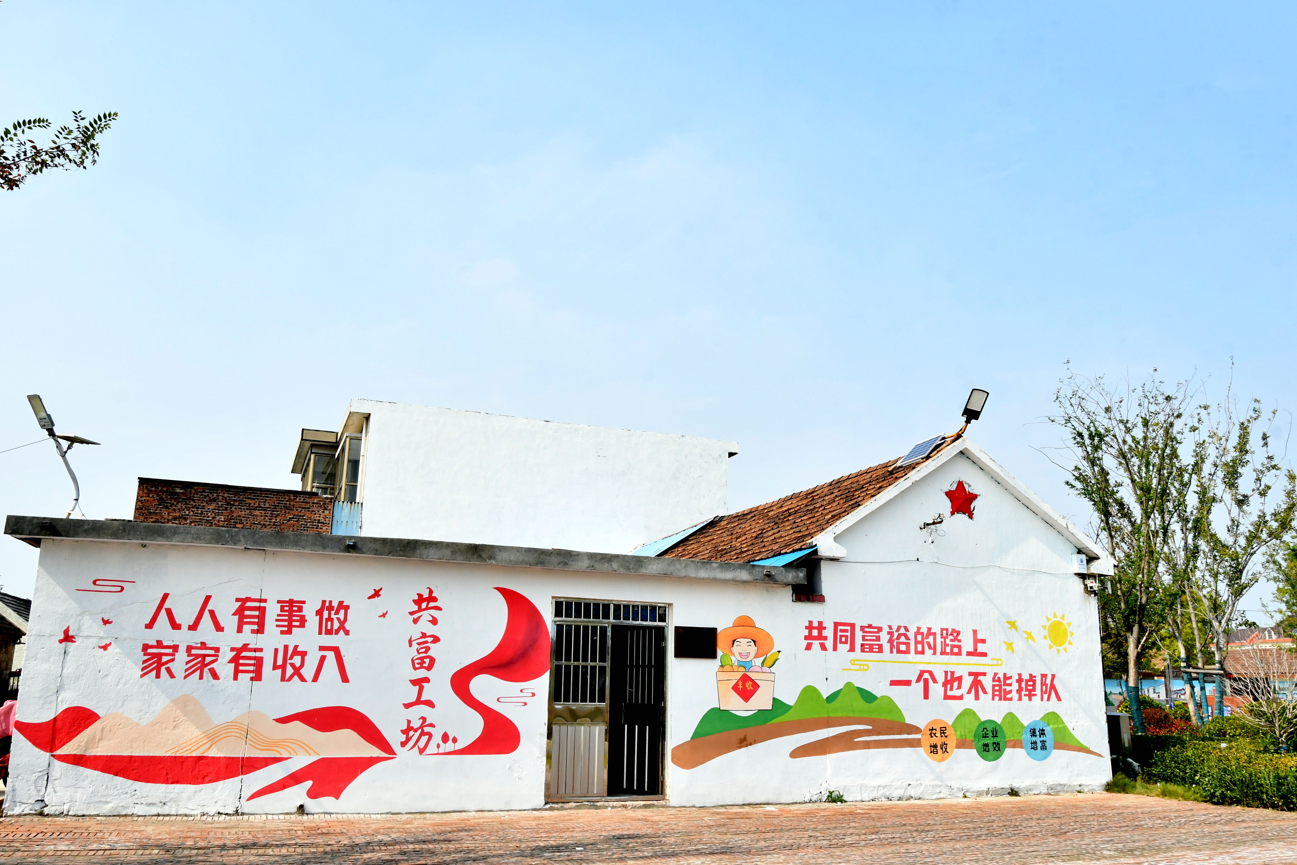 乡村振兴·沂蒙好例丨城郊型乡村振兴！罗庄区建设“水美乡村”