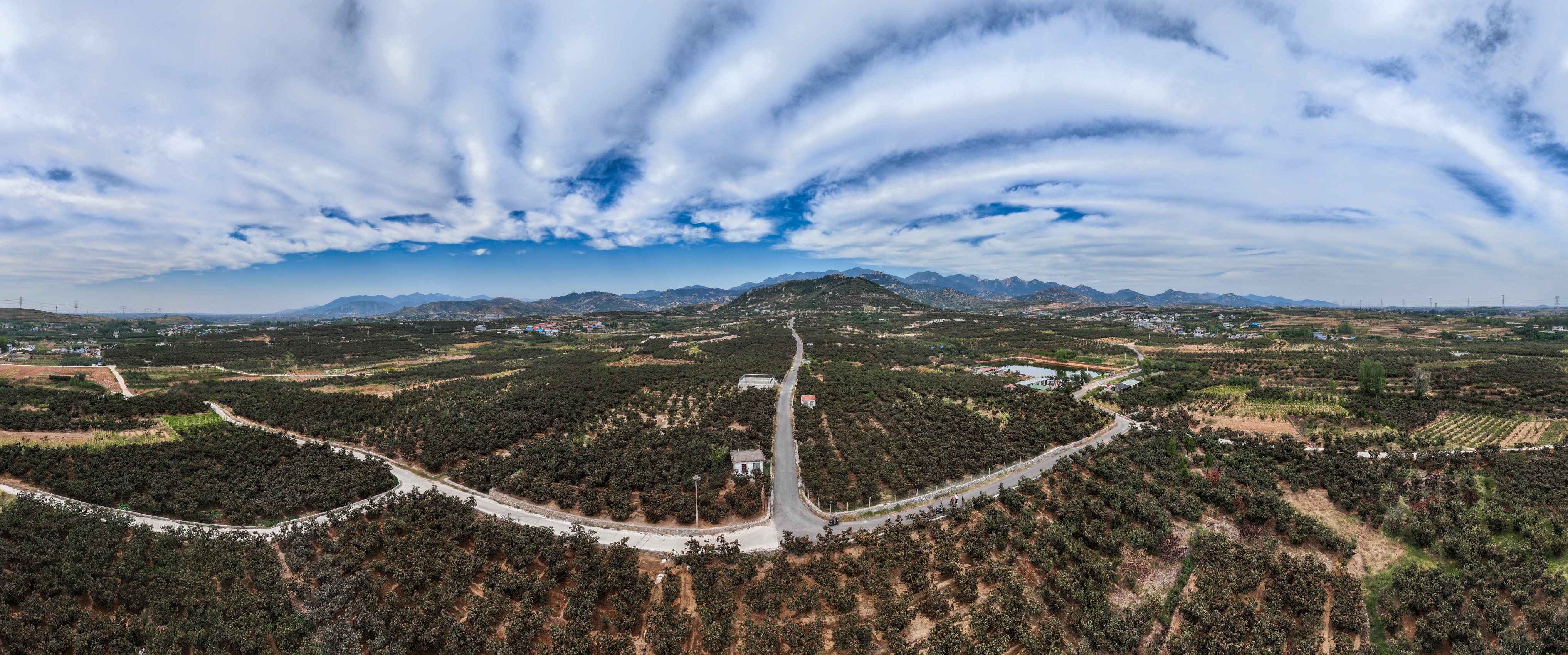 乡村振兴·沂蒙好例丨“一镇一品”，费县构建现代农业新格局