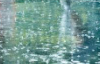 受台风“康妮”影响，上海多所高校今明课程转为线上教学