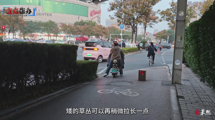 壹点帮办|潍坊一路口绿化带过高挡视线，相关部门：一周内整改