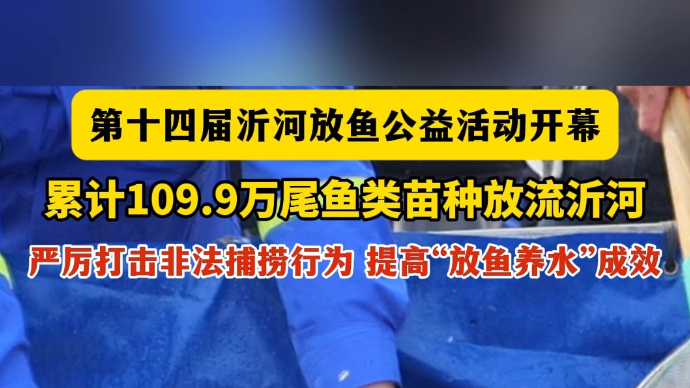 沂视频丨累计109.9万尾鱼类苗种放流沂河，沂河放鱼活动开幕