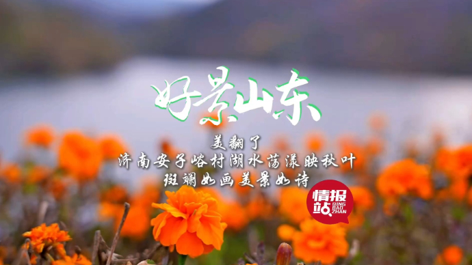 果然视频·好景山东|济南安子峪村湖水映秋叶，斑斓如画美景如诗