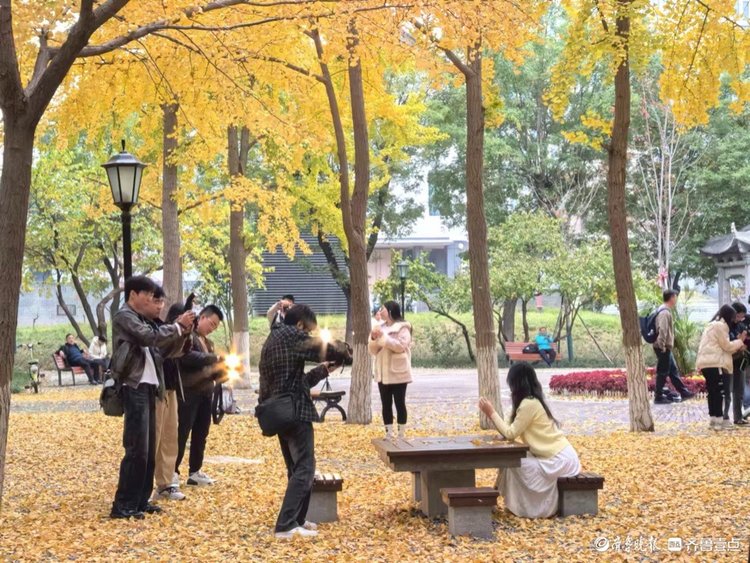 难舍这最后一抹秋光,我在记录-齐鲁晚报网