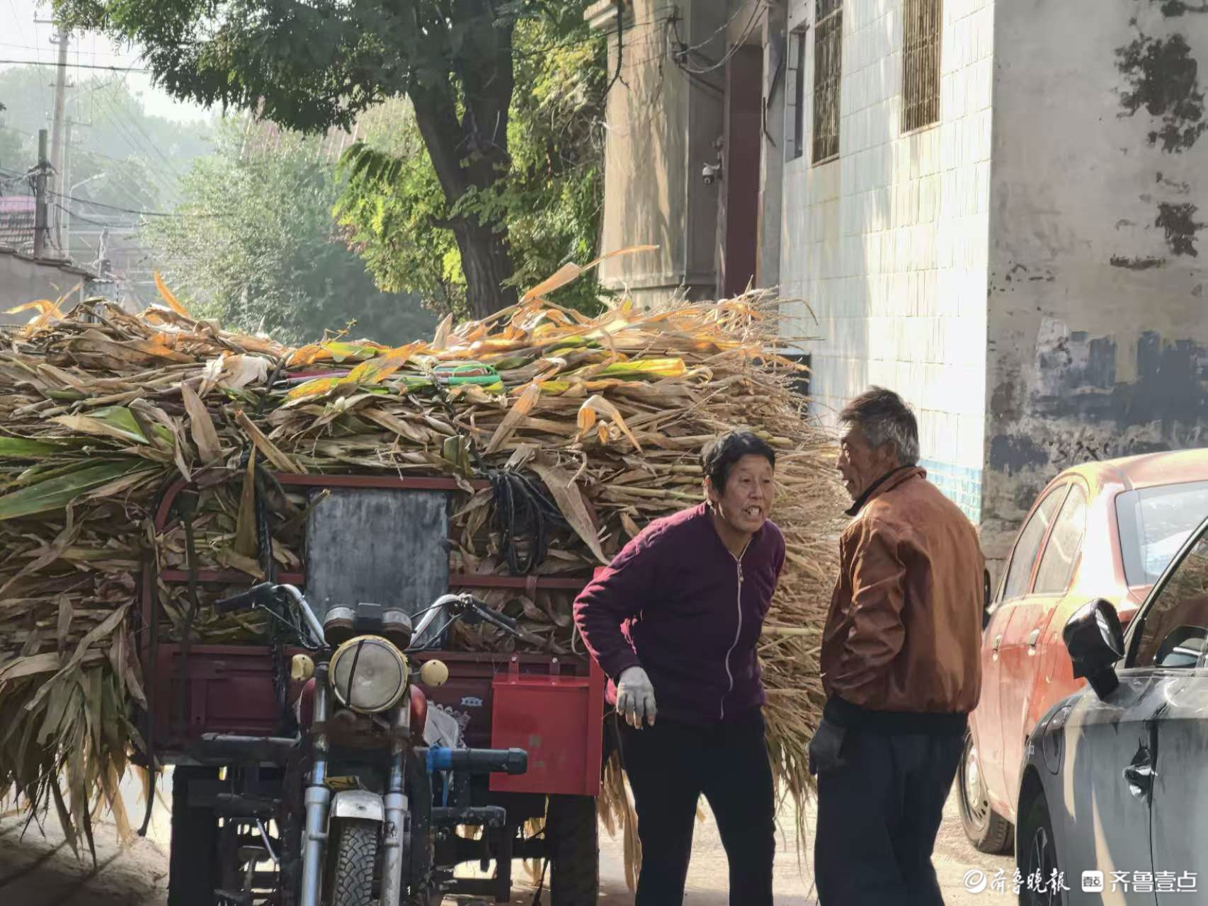 山东管理学院学生作品选登——清晨的村口