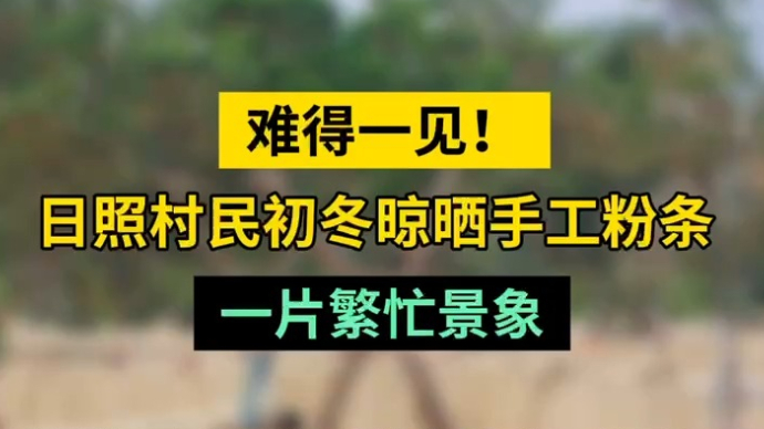 情报站|难得一见！日照村民初冬晾晒手工粉条，一片繁忙景象