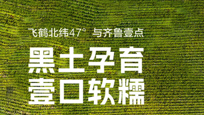 十年如壹点亮未来|北纬47°：黑土孕育 壹口软糯