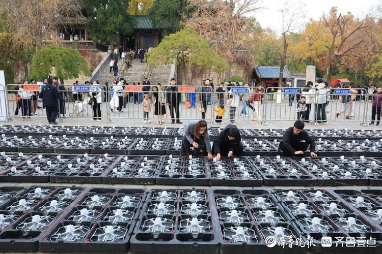 济南大明湖将呈现800架无人机灯光秀,庆祝齐鲁壹点上线十周年