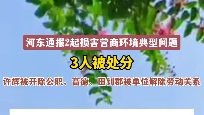 沂视频｜河东区纪委通报2起损害营商环境典型问题，3人被处分