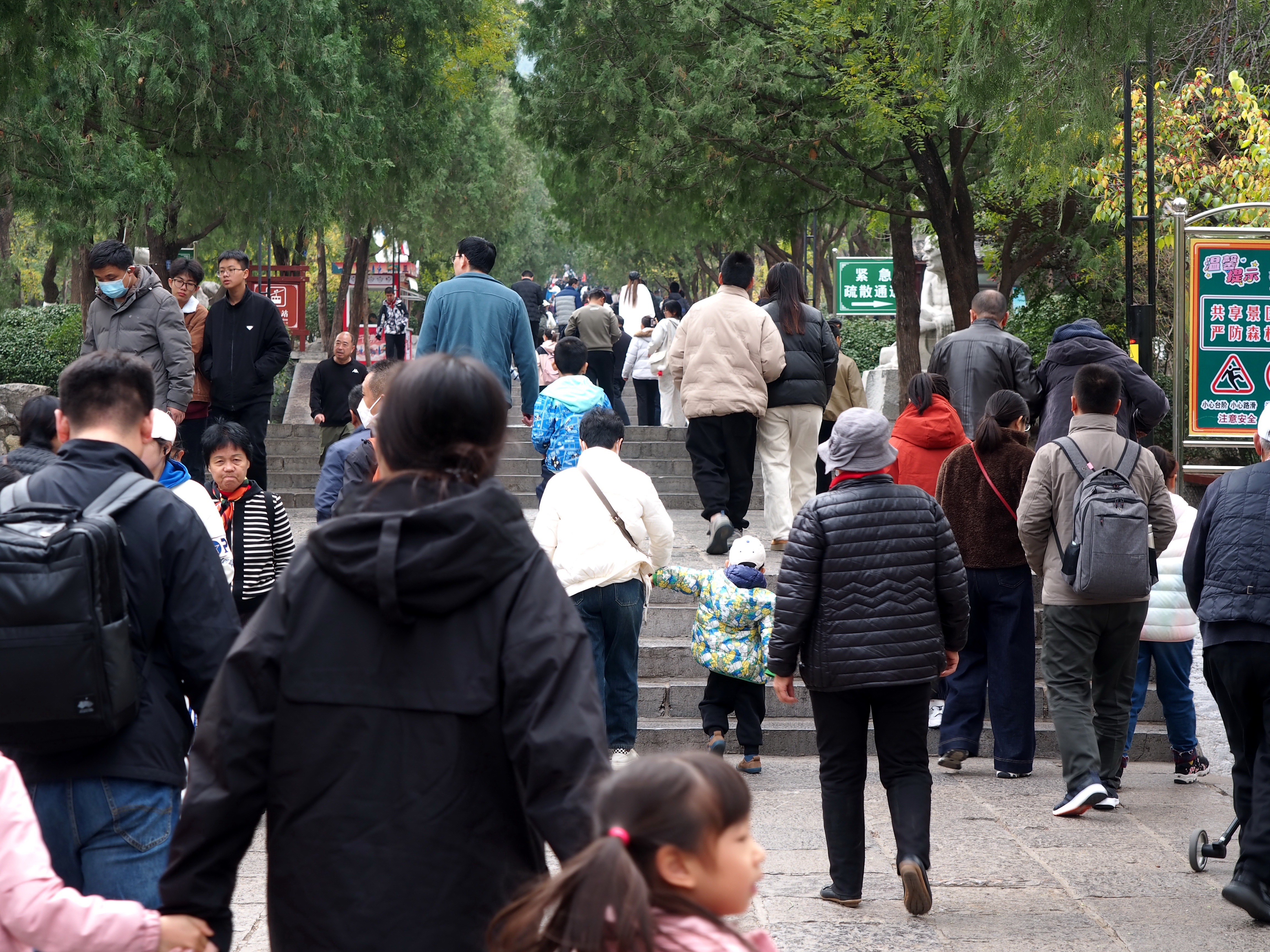 济南雨雪冬日将至，大批市民到千佛山享受最后的美丽秋日
