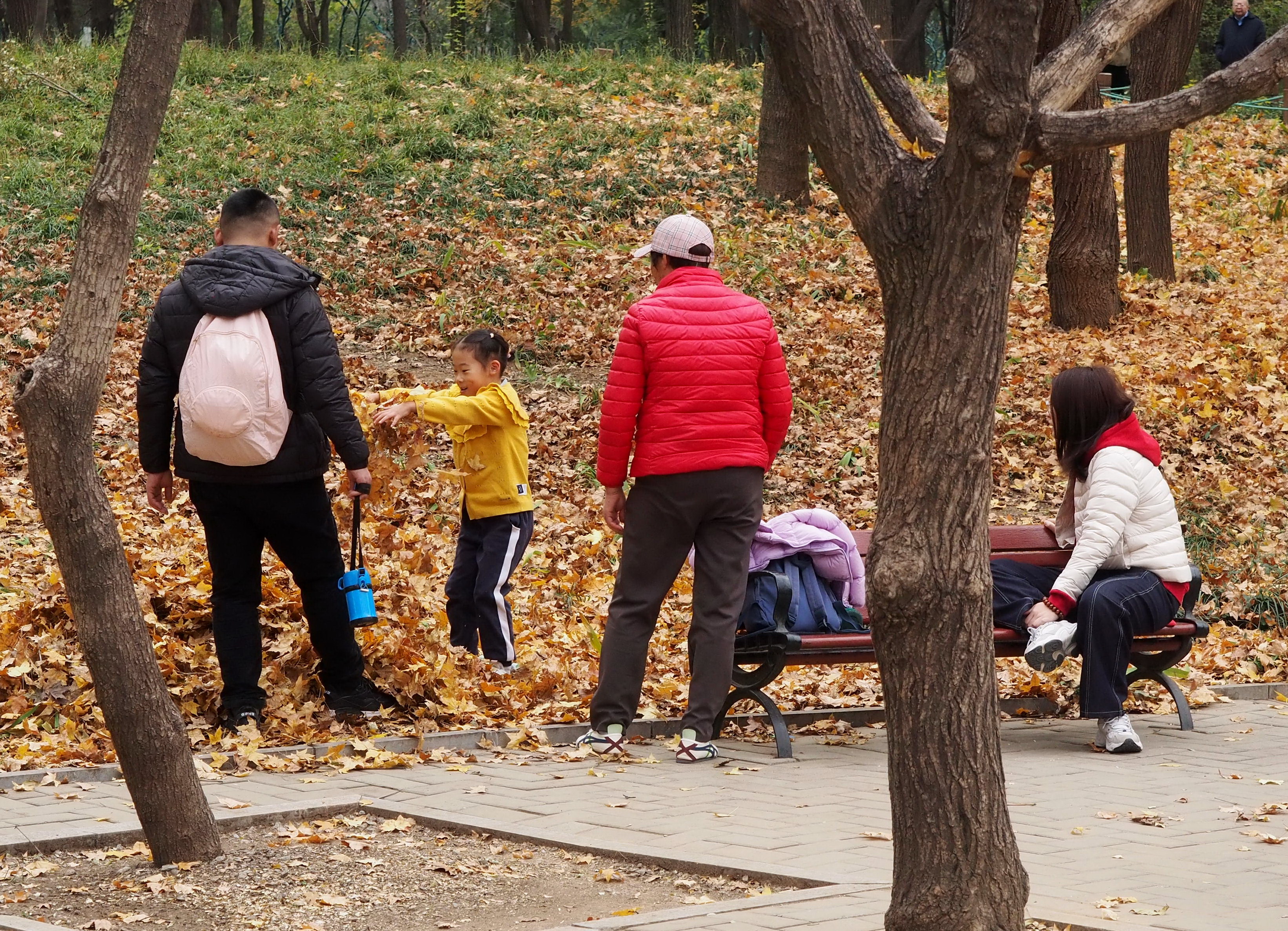 济南雨雪冬日将至，大批市民到千佛山享受最后的美丽秋日