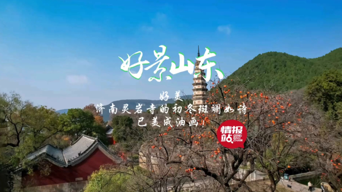 果然视频·好景山东|济南灵岩寺的初冬斑斓如诗，已美成油画!