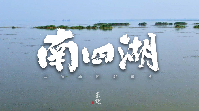 果然视频丨南四湖上南水北调11年，调出7000多个大明湖