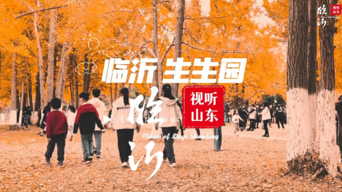 视听山东·乐享罗庄｜又到银杏叶黄时，最美临沂生生园