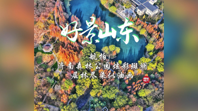 果然视频·好景山东|济南森林公园炫彩斑斓，层林尽染似油画！