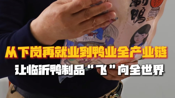 对话·临沂｜“临沂鸭”飞向世界