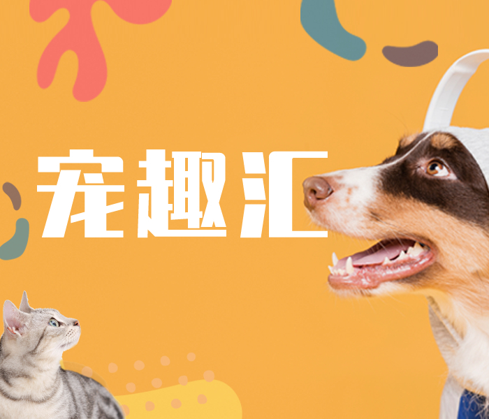 带你深入了解宠物市场的动态变化、宠物产品的创新设计理念、宠物服务的特色与优势以及宠物文化的发展趋势。