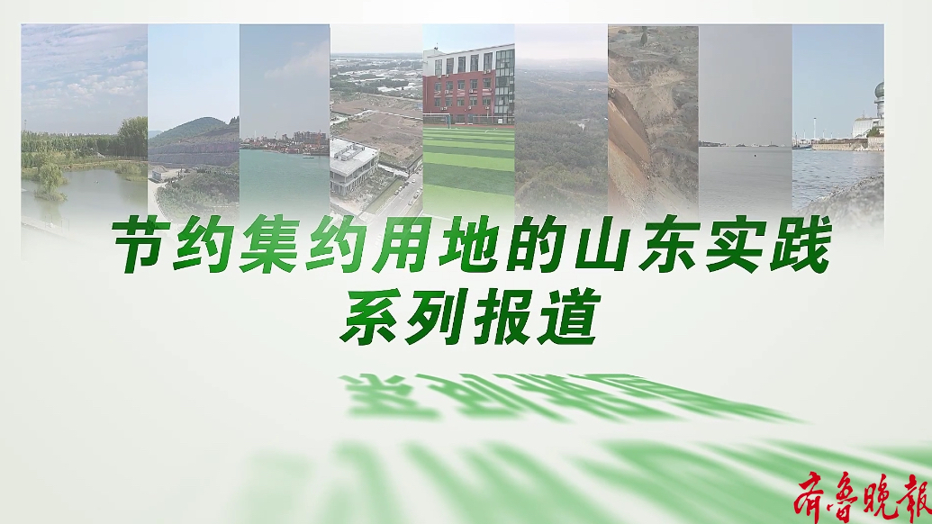 果然视频｜烟台莱山：唤醒“沉睡”土地 实现荒地“生金”