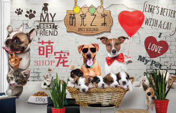 宠物家回应大规模闭店潮：仅个别店铺调整