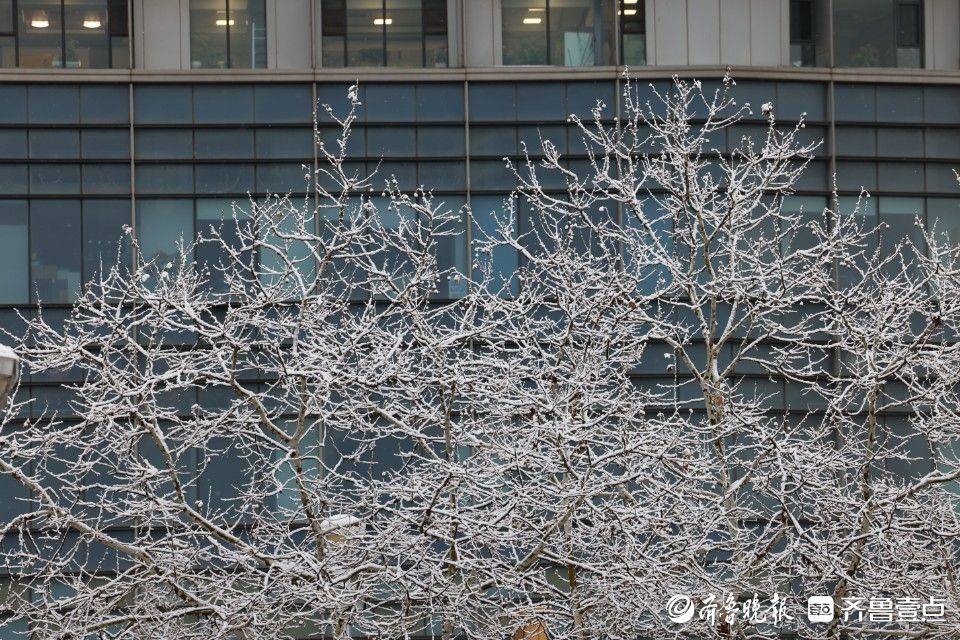 图集|雪后烟台山银装素裹，游人海边打卡感受海与雪的浪漫