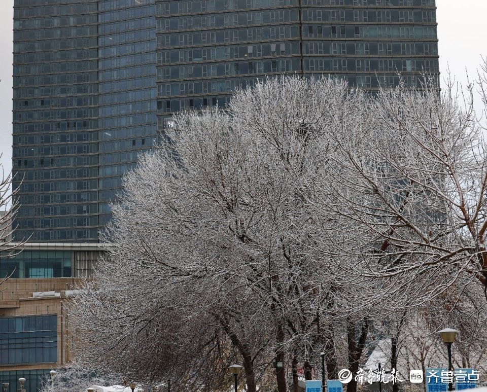 图集|雪后烟台山银装素裹，游人海边打卡感受海与雪的浪漫