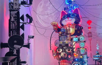 策展人漫谈丨王春辰：双年展推动艺术多元化发展与文化交流