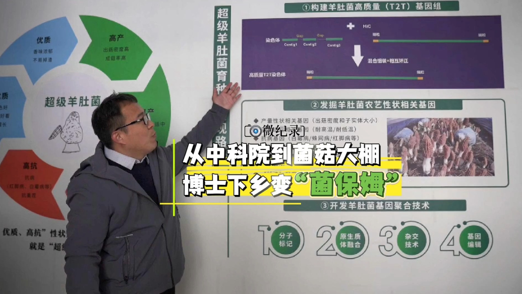 微纪录·最聊城｜从中科院到菌菇大棚，博士下乡变“菌保姆”