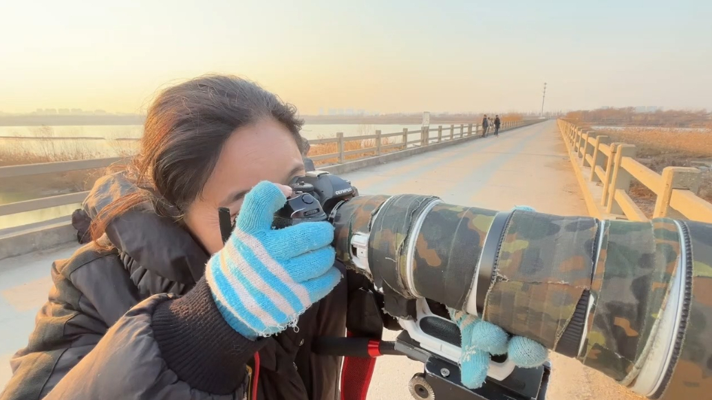微纪录｜不畏严寒，只为瞬间！王兴红的追鸟之旅