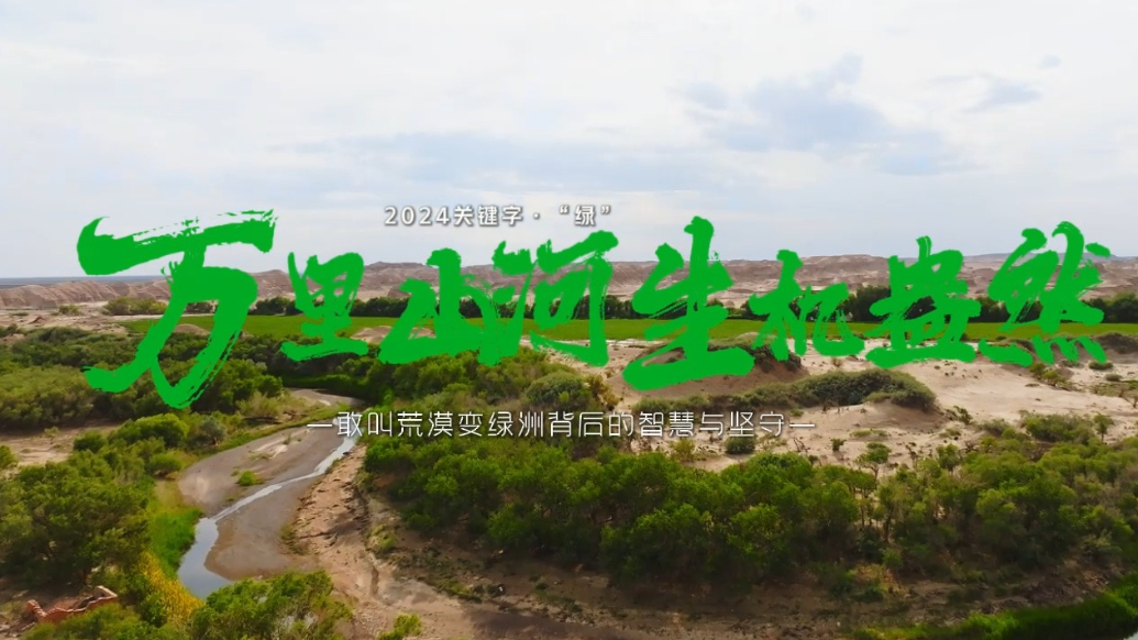 果然视频|2024关键字·“绿”：敢叫荒漠变绿洲的智慧与坚守