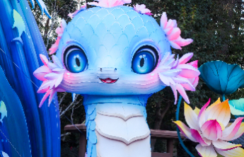 天下第一泉迎春花灯会精彩筹备中，花灯造型萌气十足