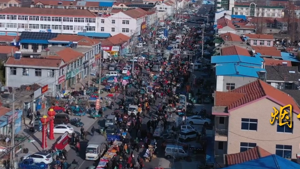 “聚山东好品 赶文化大集 过康乐春节”，黄河大集、运河大集、海洋大集邀您来山东，在最冷的季节赶一场最“热”的集