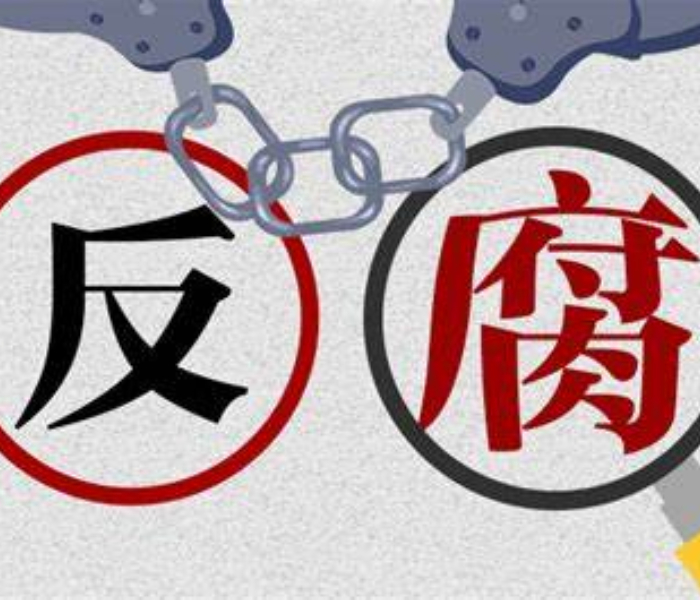 　由中央纪委国家监委宣传部与中央广播电视总台央视联合摄制的四集电视专题片《反腐为了人民》，将于1月5日至8日晚8点播出，专题片选取了12个案例，共四集，分别为《惩治蝇贪蚁腐》《风腐同查同治》《揭开腐败隐身衣》《以案促改促治》。