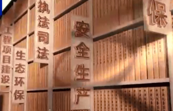 电视专题片《反腐为了人民》第一集《惩治蝇贪蚁腐》